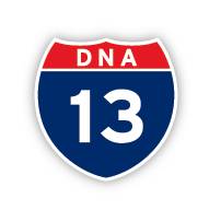 DNA13 logo